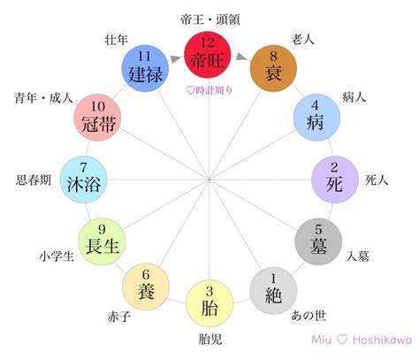 長生十二運|四柱推命｜十二運の長生（ちょうせい）とは？性格・適職・恋愛 